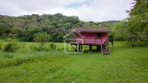 Imagem 20 de 30 de Mini Haras - 213 - 70588973