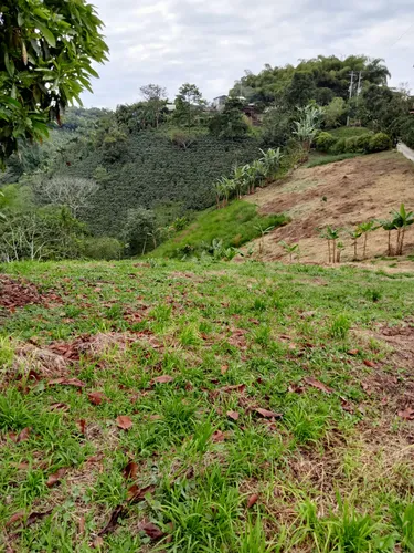Se Vende Finca Alcalá Valle Del Cauca
