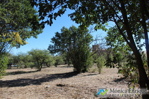 Lote De 1500m2 En Cerro De Oro, Sobre Calle Cuesta De La Granadilla