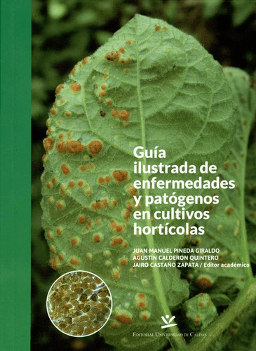 Guia Ilustrada De Enfermedades Y Patogenos En Cultivos Horti