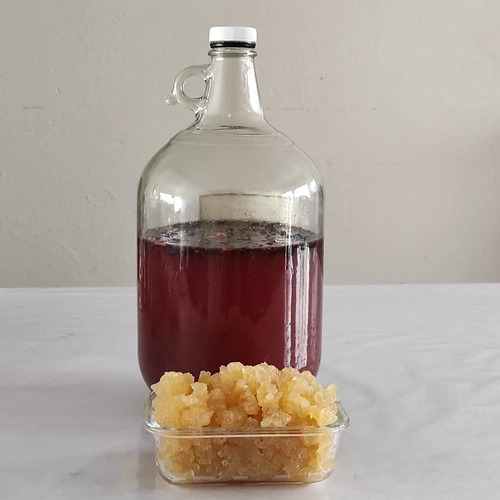 Imagen 1 de 5 de Kefir Tibicos De Agua (100gr +100gr Panela)