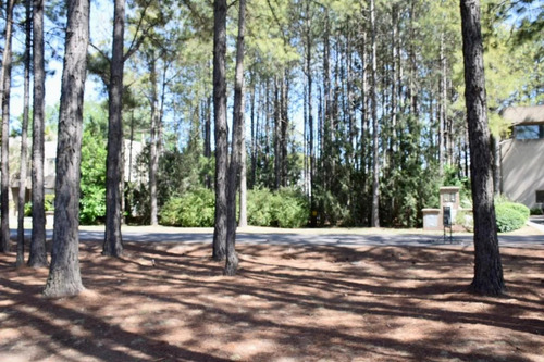 Imagen 7 de 8 de Excelente Lote Central En La Lomada De Pilar. Ultimo Lote