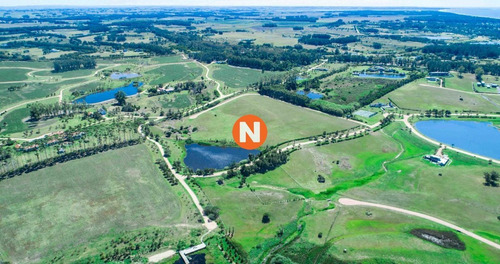 Imagen 4 de 9 de Lote En Laguna Estate, Manantiales - Manantiales Laguna Estates