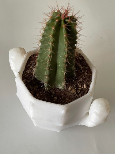 1 Maceta De Cactus 3d Minimalista