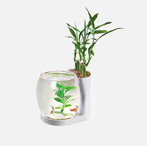 Imagen 1 de 6 de Acuario Nature World Single 3lt