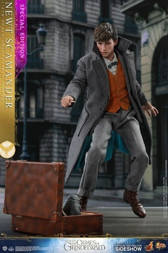 Newt Scamander 1/6 Special Edition Fantastic Beast Hot Toys