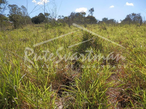 Imagem 3 de 5 de Terreno À Venda, 1000 M² Por R$ 318.000,00 - Guara - Campinas/sp - Te0860