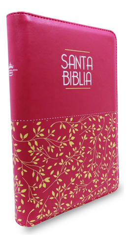 Santa Biblia Rvr1960 Letra Grande /fucsia Con Cierre