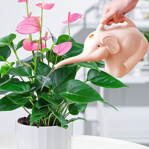Hervidor De Jardinería Con Regadera De Pp De 2 Litros Con