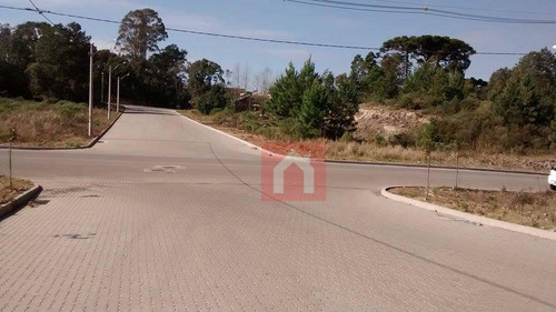 Imagem 4 de 13 de Terreno À Venda, 377 M² Por R$ 142.000,00 - Santa Catarina - Farroupilha/rs - Te0029