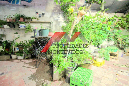 Casas En Venta - Padron Unico - La Blanqueada
