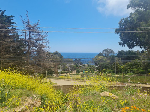 Sitio Pangue En Venta En Zapallar