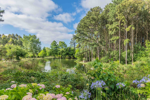 Apartamento En Alquiler De 2 Dormitorios En Haras Del Lago