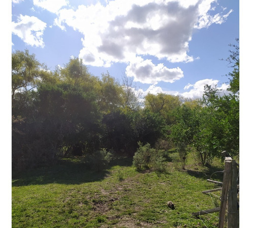 Vendo Muy Lindo Campo Sobre Ruta 33 Casa Todo Alambrado En 4 Potreros, Aguadas