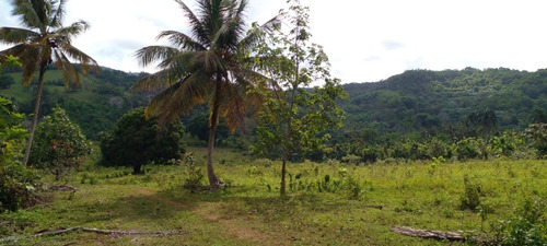 Vendo 100 Tareas De Terreno Ubicado En Hato Viejo De Yamasa Entrando Por La Nativa Del Km 22 Autopista Duarte