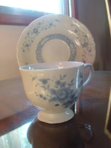 Plato Y Taza De Porcelana Antiguo