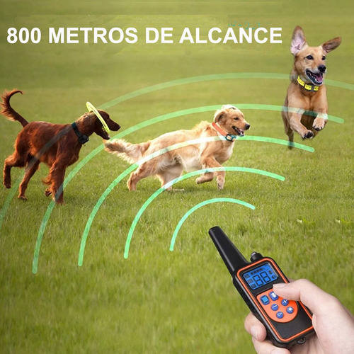 Imagen 5 de 9 de Collar Antiladrido Adiestramiento Perro Vibracion Sonido