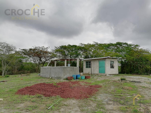 Imagen 6 de 8 de Terreno De 1.8 Hectáreas Con Producción De Limón En Tuzamapan, Coatepec, Veracruz