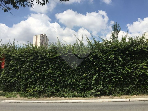 Terreno Em Zona Mista - 353-im17323