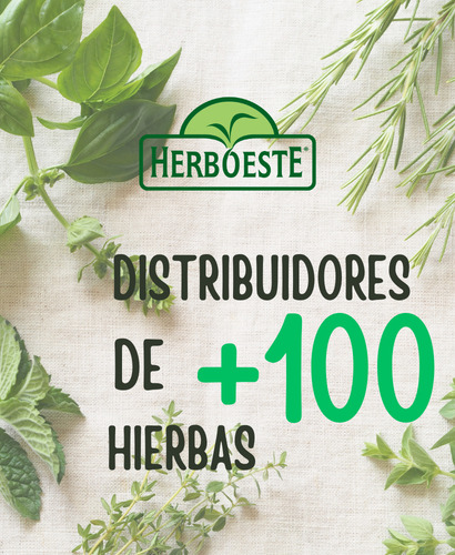 Hipericón X 1kg - Hierbas Medicinales