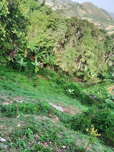 Imagen 4 de 4 de Vendo Parcela De Terreno De 809 M2, Ref. 16.000 - San Pedro