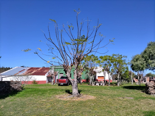 Campo De 397 Has - Maldonado, Aiguá
