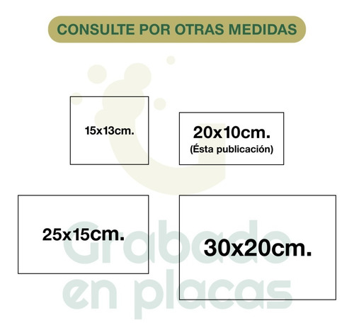 Imagen 3 de 10 de Placa Grabada Profesional, Doctor, Abogado, Contador 20x10cm