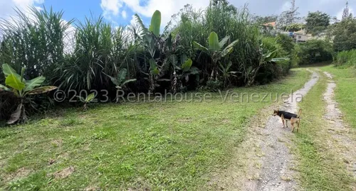 Terreno En Venta San Antonio