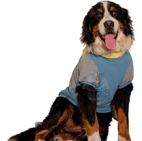 Imagen 1 de 7 de Buzos Abrigo Ropa Para Perros Estampados Ultima Novedad