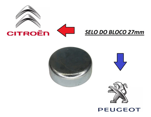 Selo Do Bloco Do Motor Inox 27,2mm Peugeot Citroen 1.6 16v