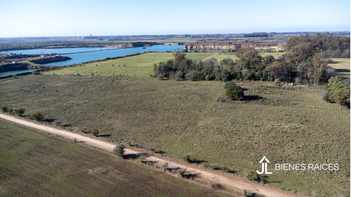 Campo En Venta De Casi 15 Has En Escalada Zarate.