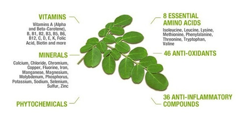 Moringa