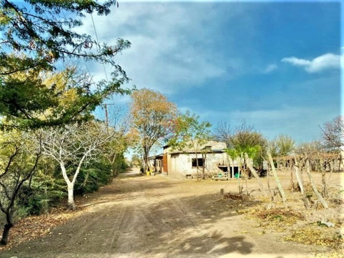Imagen 1 de 19 de Greenwood Vende Hermosa Finca Con Viñedos, Casa, Galpon Y Pozo Para Riego