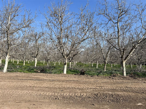 Parcela En Venta En Calera De Tango