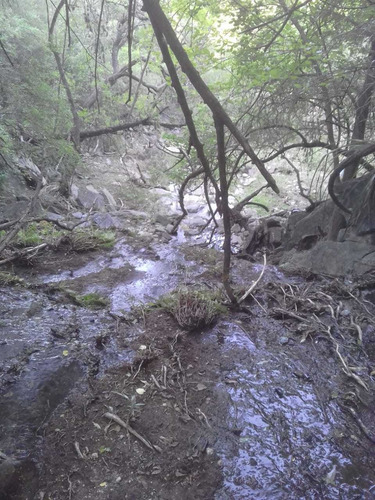 Imagen 7 de 11 de Campo En Las Sierras, Montañas Pero En Traslasierra $ 1.500.000 La Hectárea Al 020123