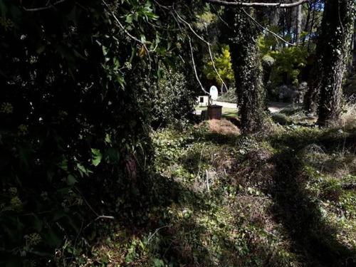 Imagen 3 de 9 de Terreno Con Proyecto En Carilo