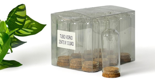 Botella De Vidrio 25x70 Caja X12 | Decorativa | Tubo Vidrio