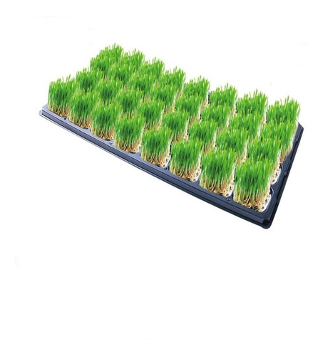 Nutrientes Para Forraje Verde Hidroponico Para 1000l