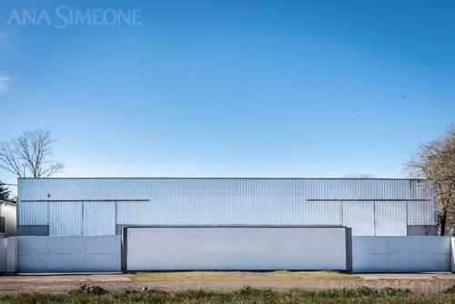 Nave Industrial - Venta Y Alquiler - Chivilcoy