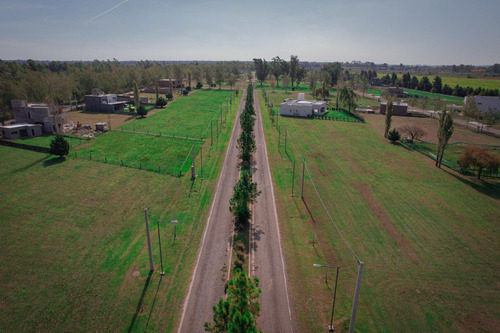 Terreno En Venta En Barrio Privado Pinares Del Sur