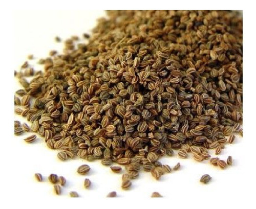 Semillas De Apio Para Hortalizas 70gr Hidroponía
