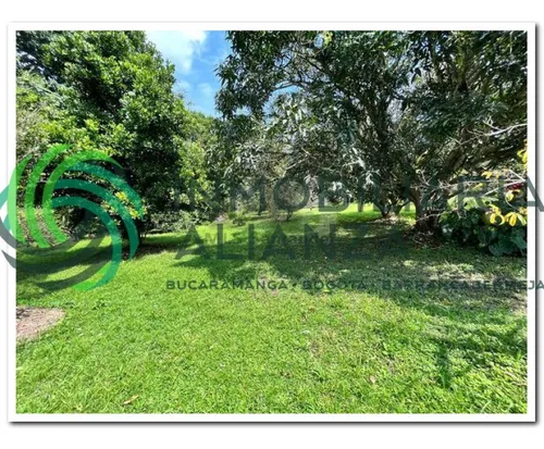 Lote En Venta En Vereda Los Cauchos. Cod V61225