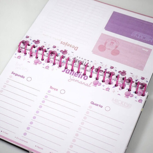 Imagem 3 de 5 de Planner Permanente Personagens - Disney