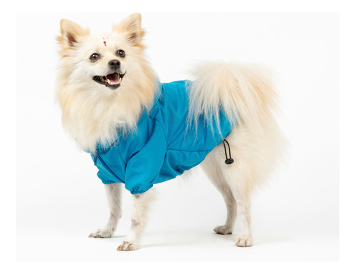 Ropa Para Mascotas, Chaqueta Rompevientos Para Perro