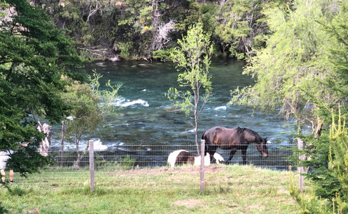 Exclusiva Casa En Aldea De Montaña Con Costa De Rio Meliquina. San Martin De Los Ande, Patagonia