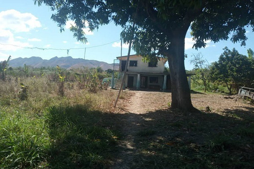 Imagen 8 de 10 de Asein1041 Vende De Oportunidad Finca En Vigirima Guacara