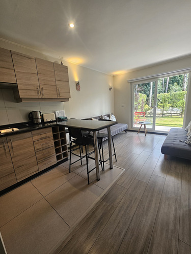 Vendo Depto 1d Y 1b En Condominio Pucón Andino