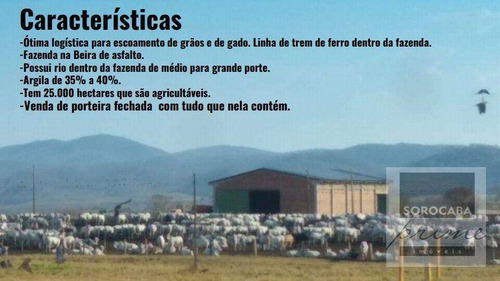 Imagem 9 de 10 de Fazenda Bodoquena À Venda - Corumbá/ms - Fa0029