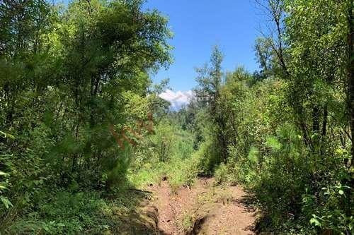 Imagen 7 de 22 de Venta De Terreno En Valle De Bravo Con Desarrollo De Rancho