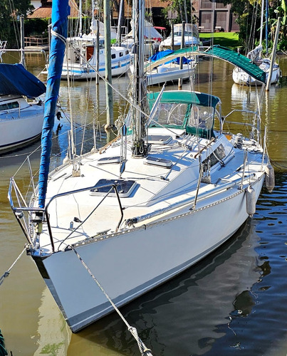 Velero Fran 37